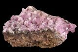 Cobaltoan Calcite Crystal Cluster - Bou Azzer, Morocco #90328-1